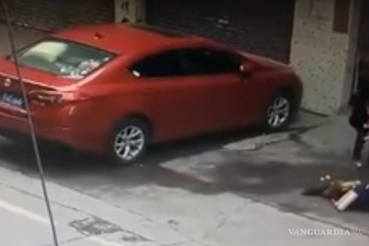 Perro caído 'del cielo' deja inconsciente a mujer