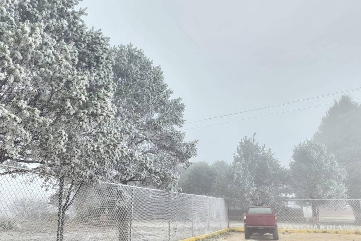 Nuevo León se pinta de blanco; reportan caída de aguanieve en varios municipios