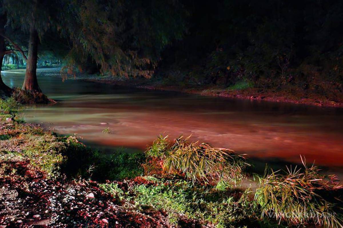 Lluvias dejan un saldo de 10 vehículos varados, en Nuevo León