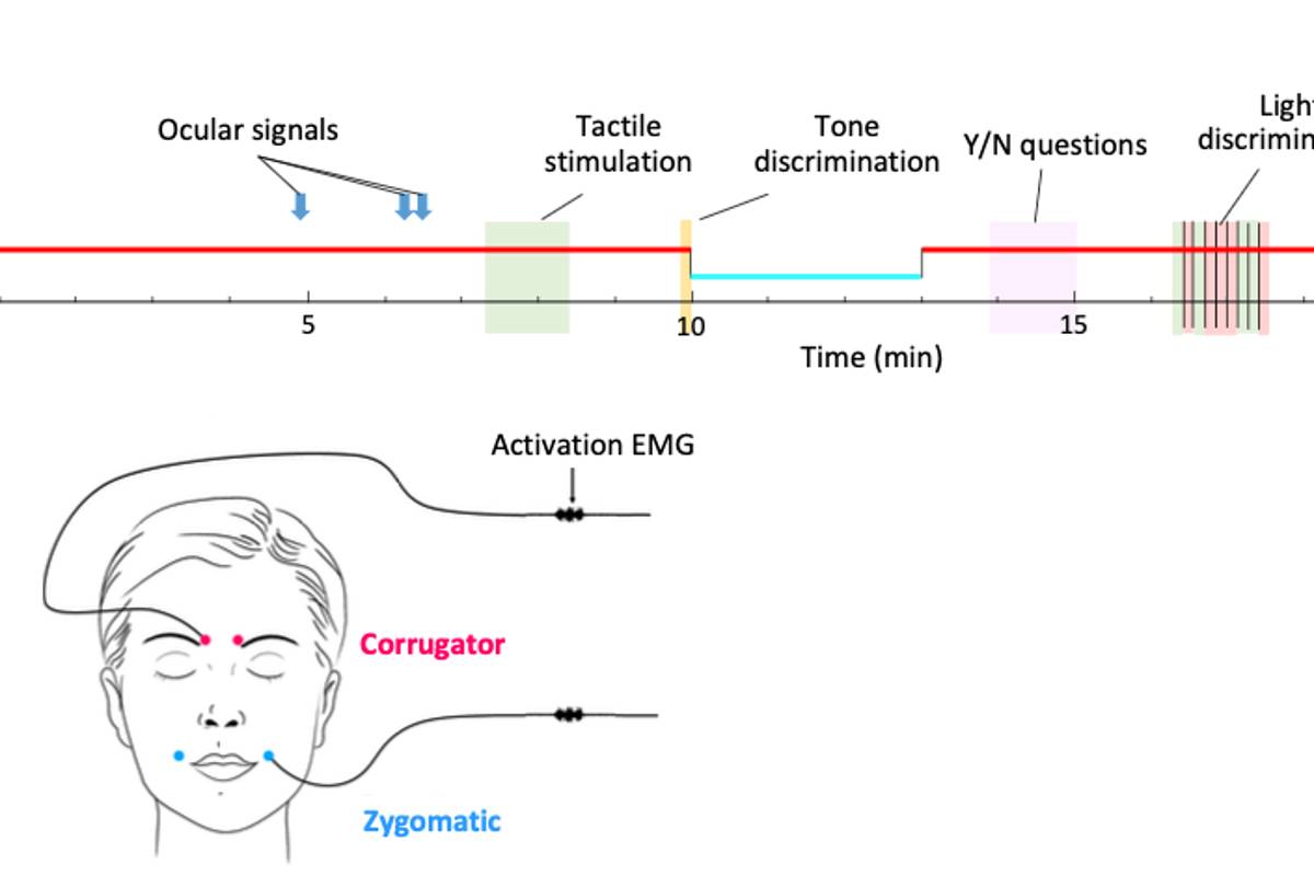$!Hablar con personas mediante sueños lúcidos es posible