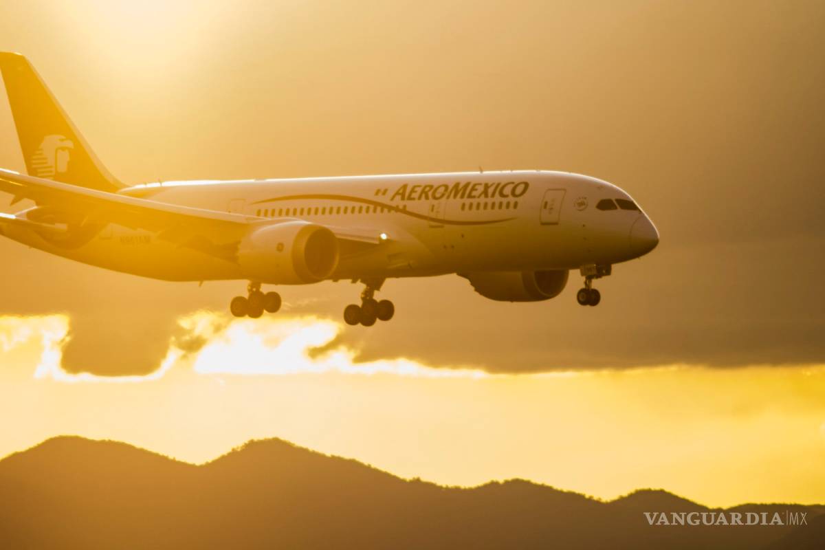 Aeroméxico, la elegida para transportar al Papa durante su visita a México
