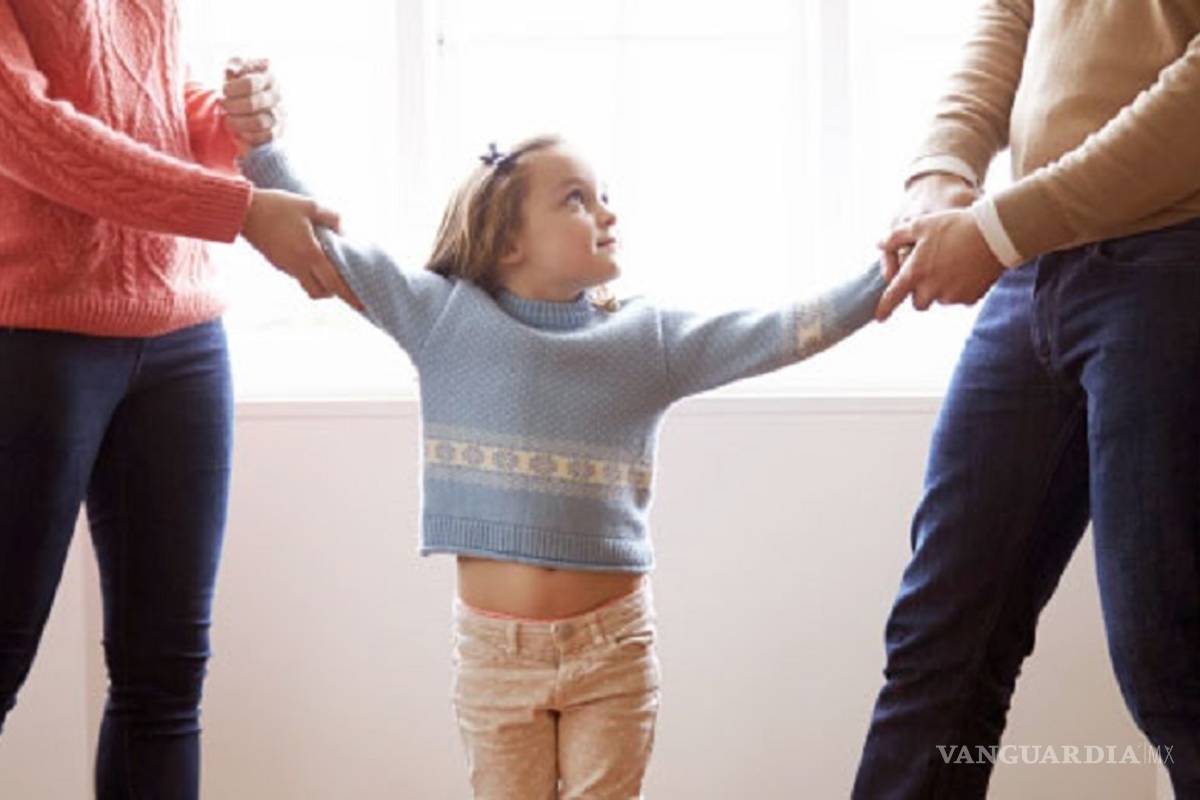 Suprema Corte de Justicia alista proyecto para declarar inconstitucional la custodia preferente de las madres sobre los hijos, tras divorcio