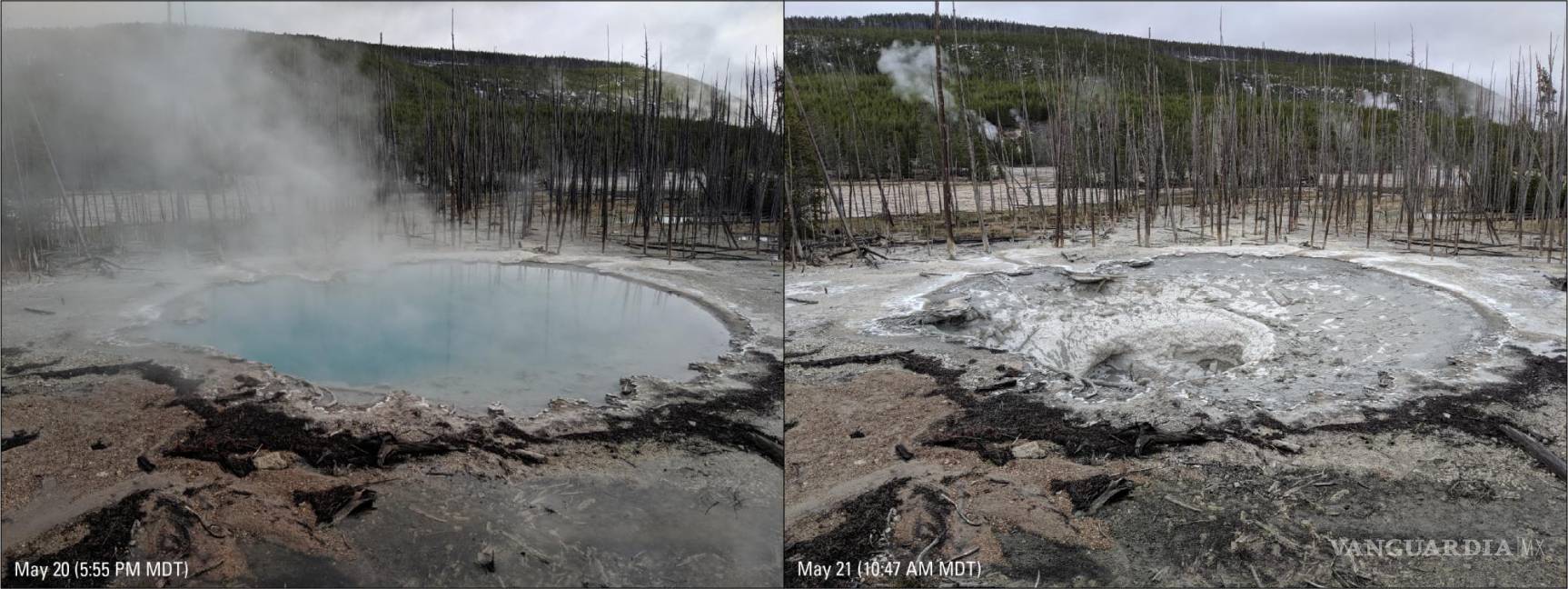 $!Drenaje de la piscina natural Cistern Spring durante las grandes erupciones del Steamboat Geyser.