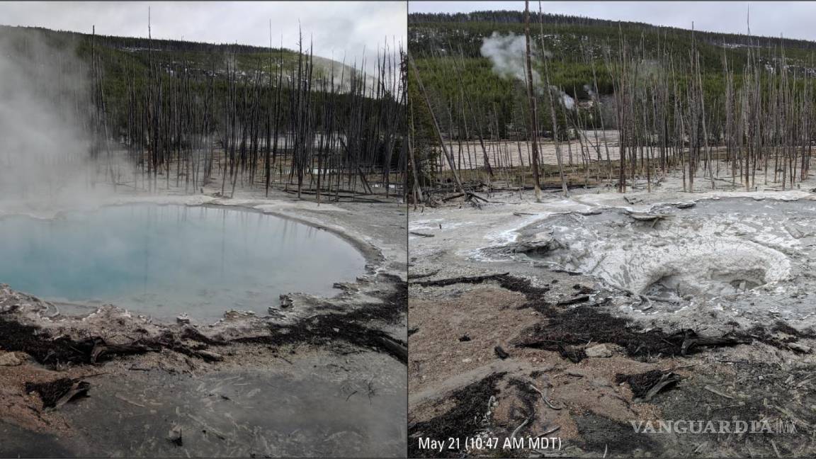 $!Drenaje de la piscina natural Cistern Spring durante las grandes erupciones del Steamboat Geyser.