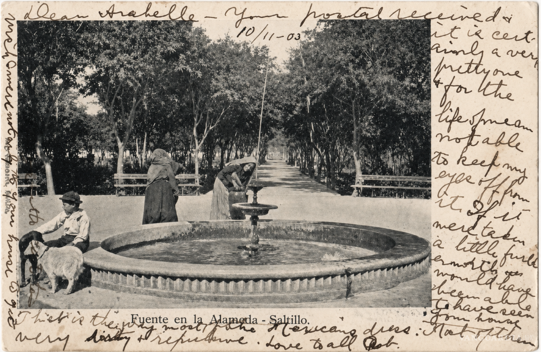 $!Ayuntamiento de Saltillo envenenó perros en 1929 y hubo quienes le “aplaudieron”