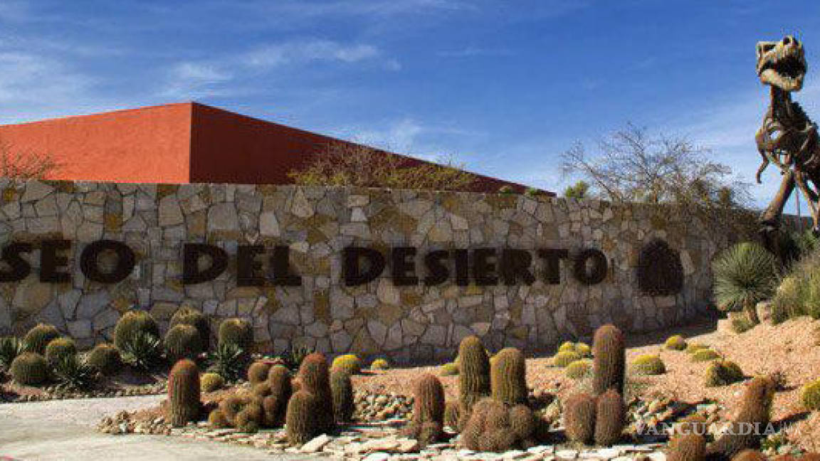 Tiene nuevo huésped el Museo del Desierto de Saltillo: un bisonte