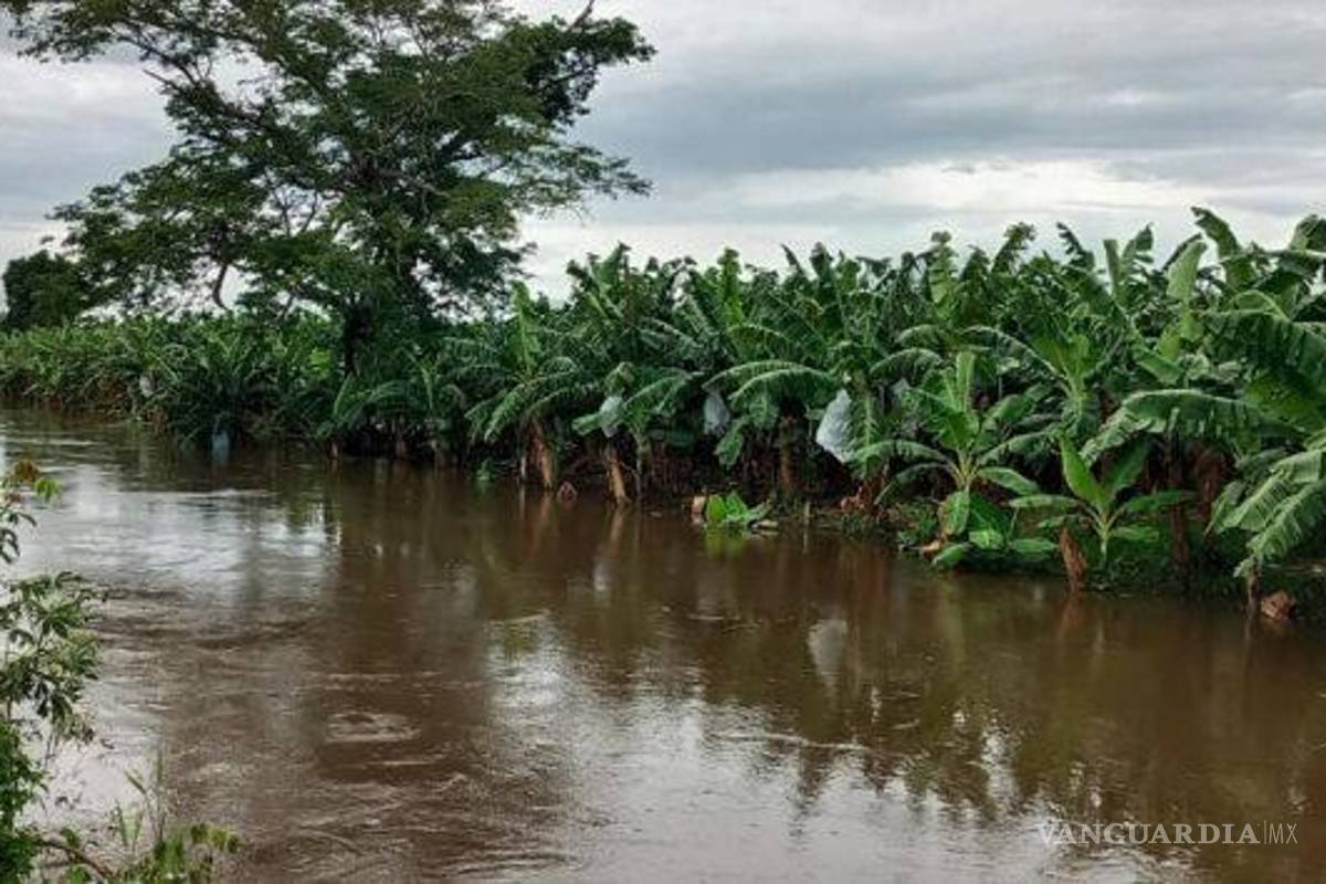 $!Agricultores de Chiapas exigen declarar desastre por lluvias