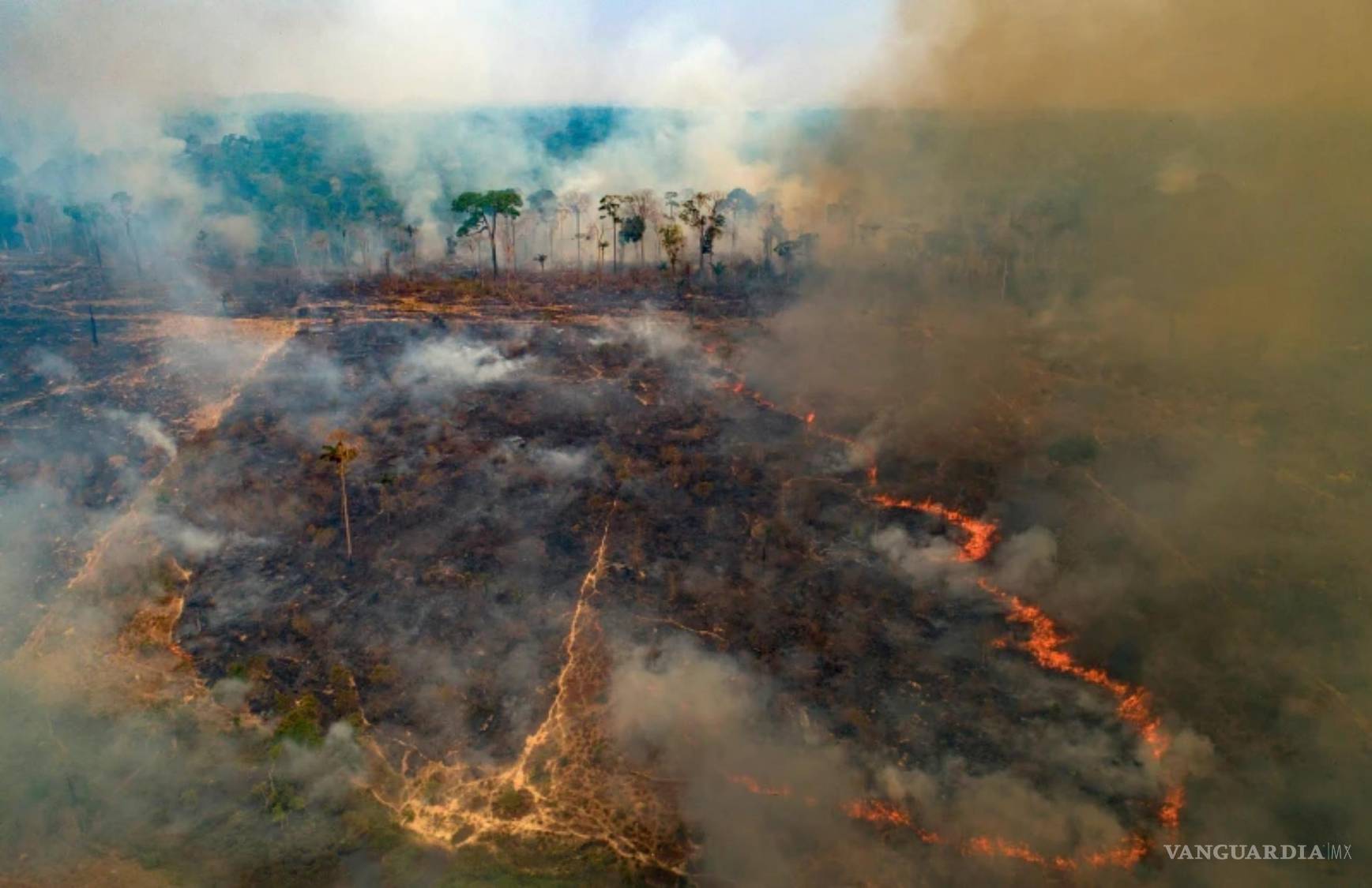 $!Un incendio forestal consume terrenos recientemente deforestados por ganaderos cerca de Novo Progresso, estado de Pará, Brasil, el 23 de agosto de 2020.
