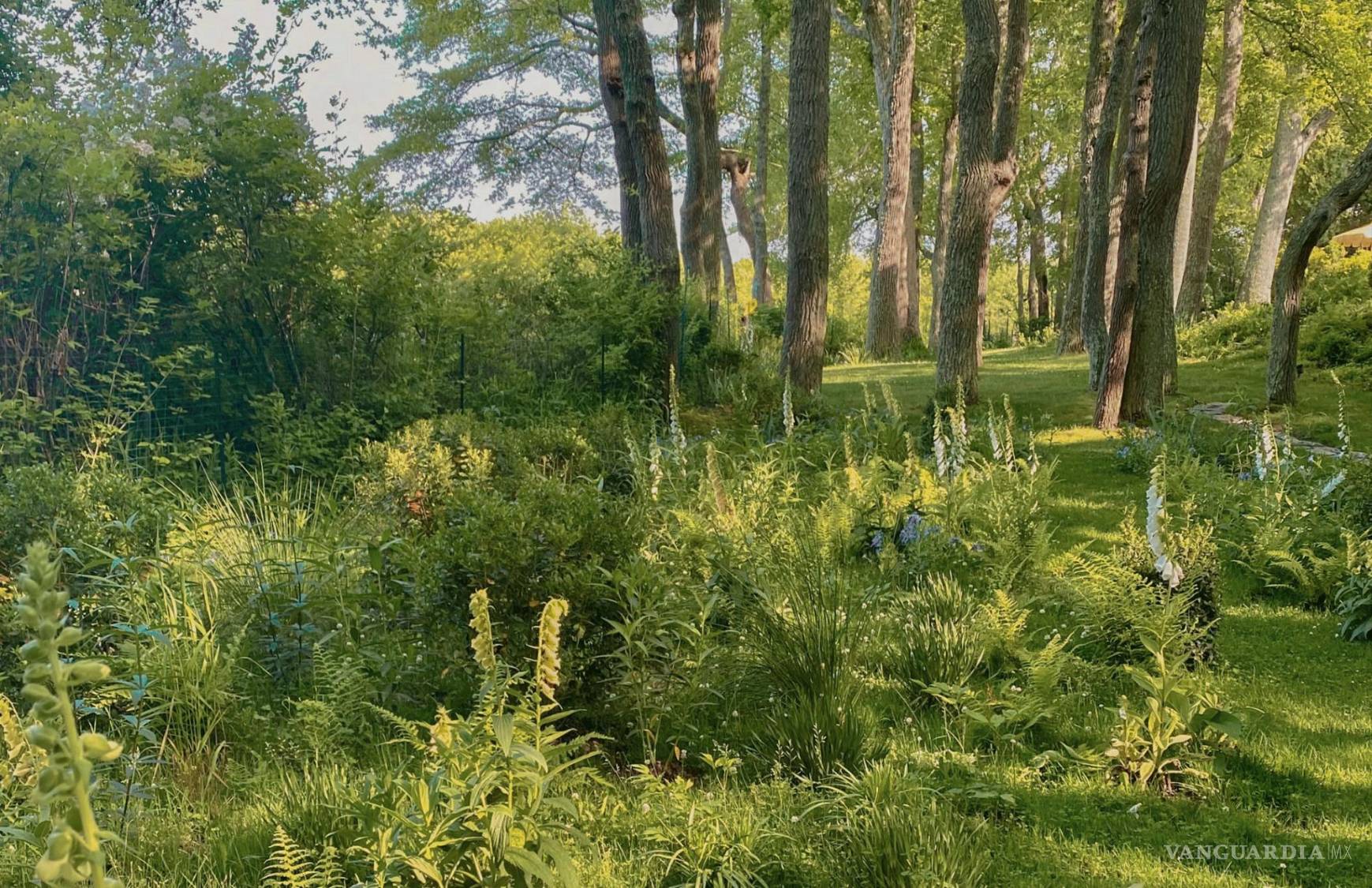 $!Grace confiesa que siempre quiso ser un jardinero o granjero.