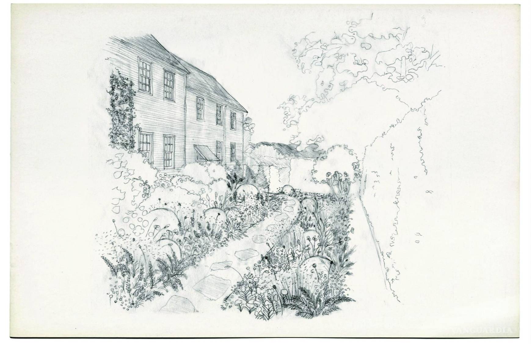 $!Ha trabajado en Estados Unidos, India y México.