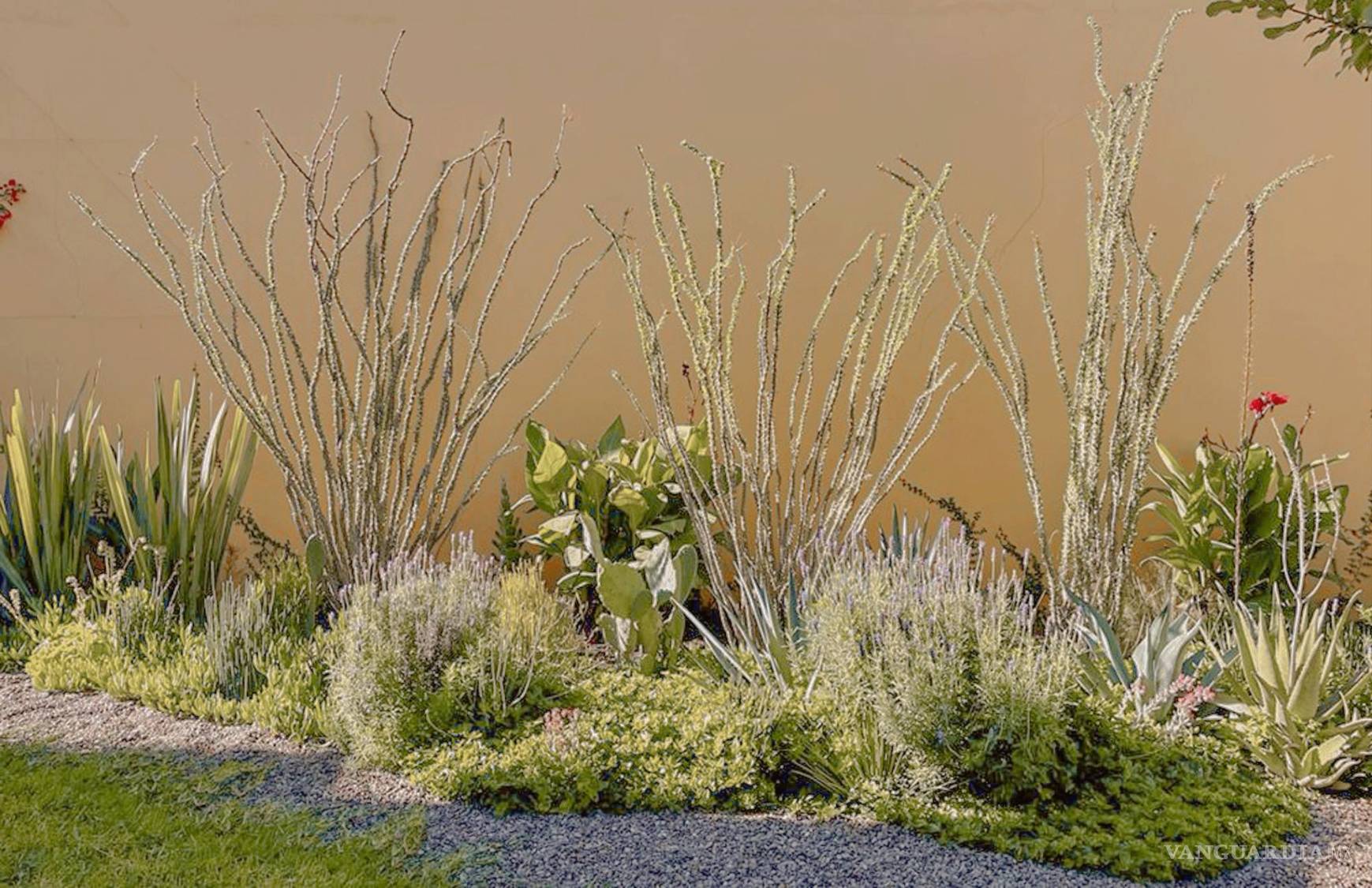 $!Grace encuentra en cada espacio una nueva oportunidad para crear una obra de arte viva.