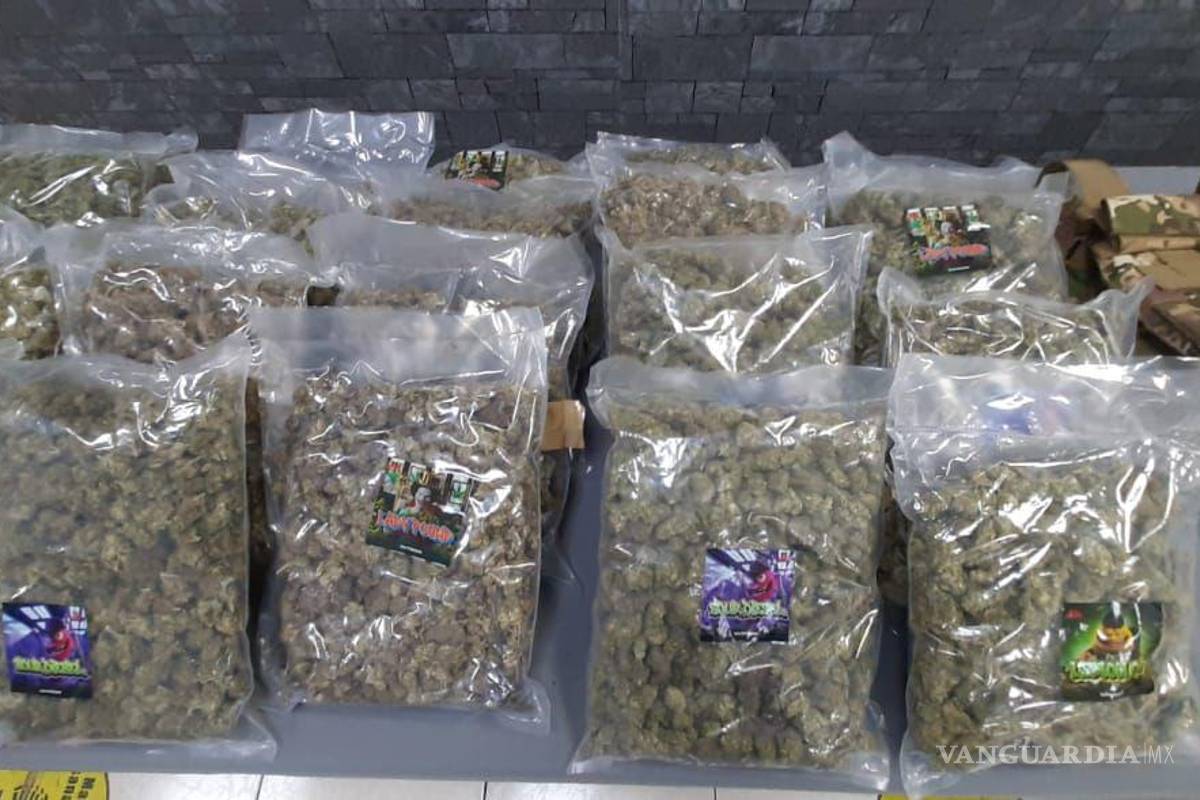 Nuevo León: FGR logra sentencias para 58 personas y la destrucción de narcóticos, en abril