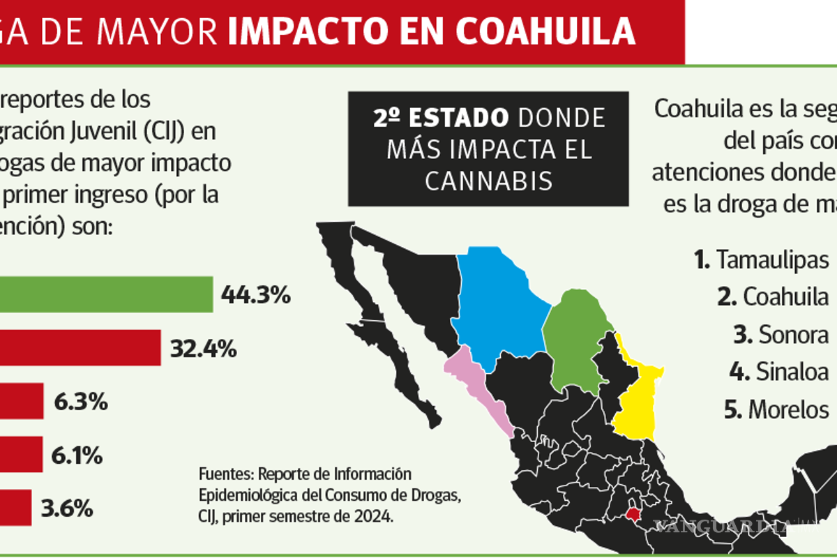 $!Saltillo: disfrazan con clubes ‘venta’ de mariguana en tiendas Paradise