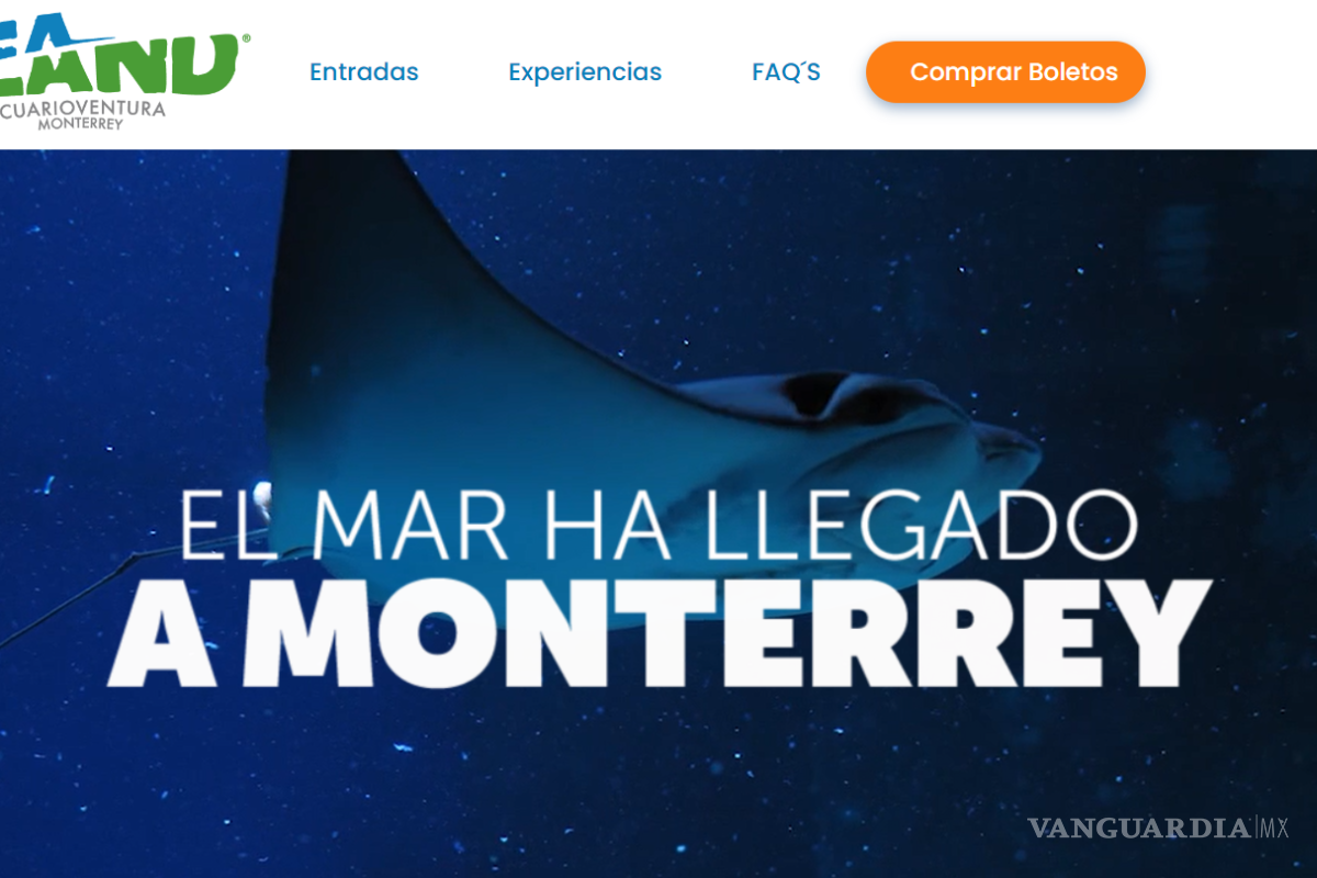 ¡Sealand: El mar ha llegado a Monterrey! Conoce todos los detalles sobre este primer acuario interactivo de la región