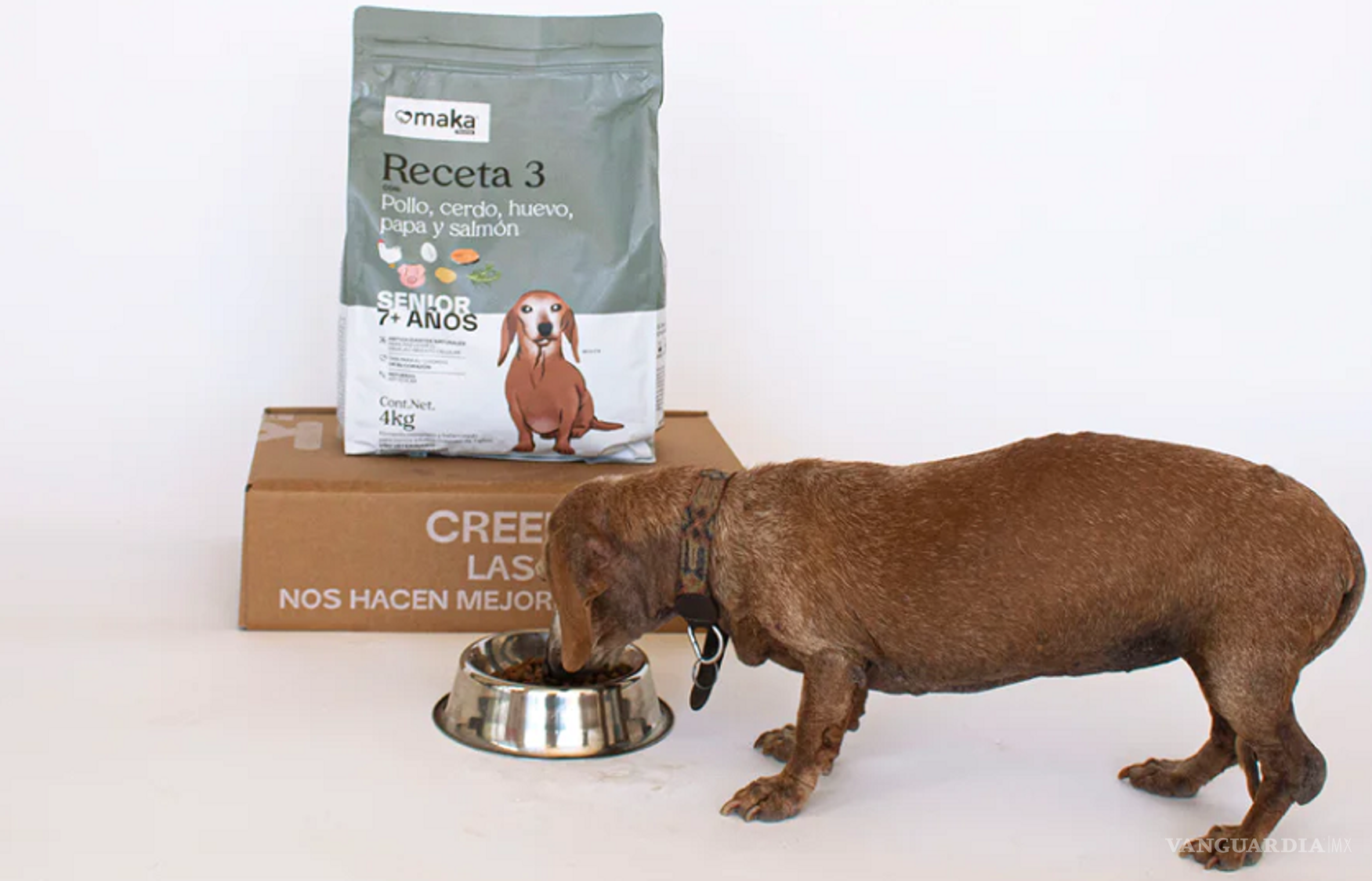 $!Si quieres mantener la microflora intestinal de tu perrito sana, es esencial que le des probióticos.