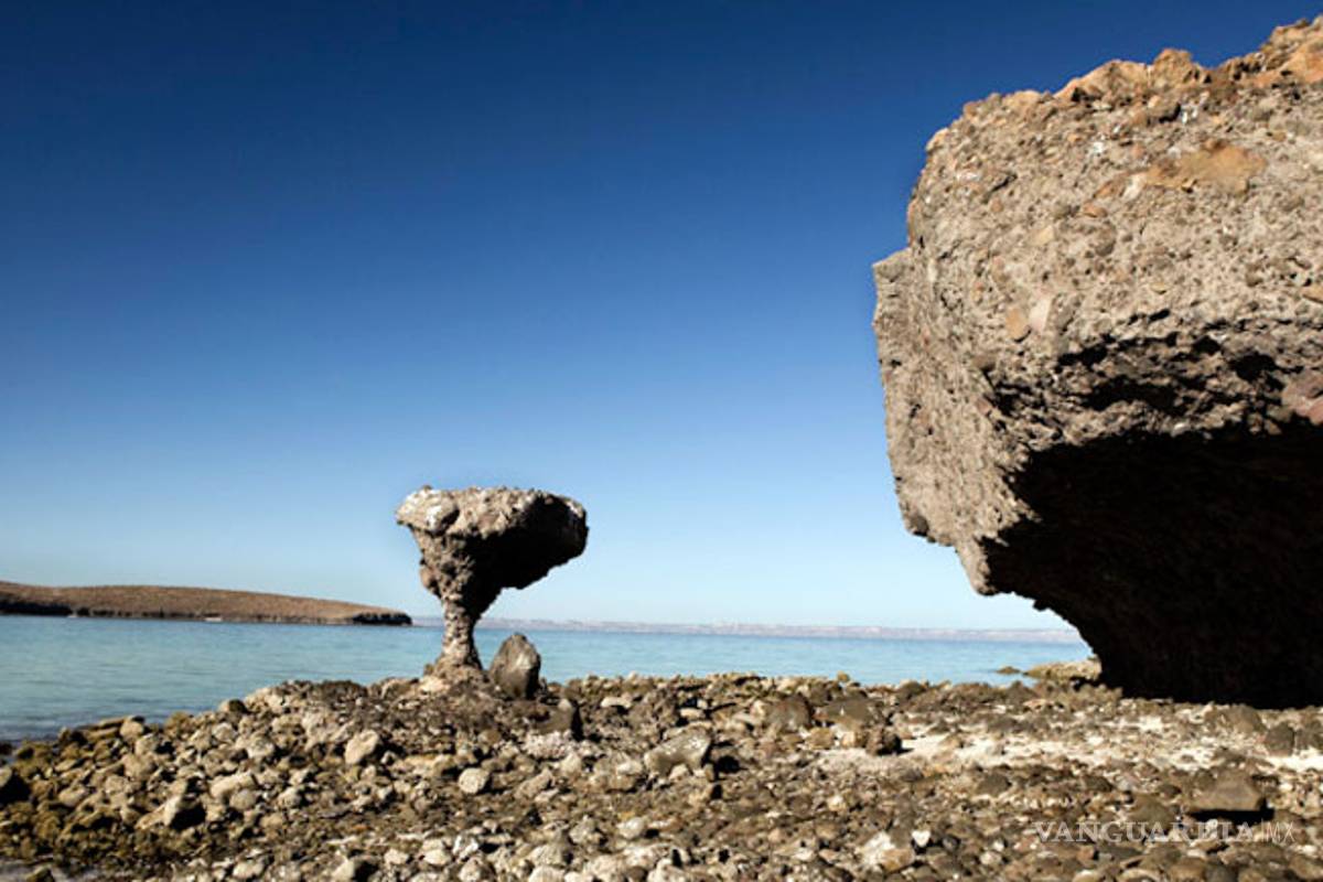 Se registran 9 sismos en la península de Baja California