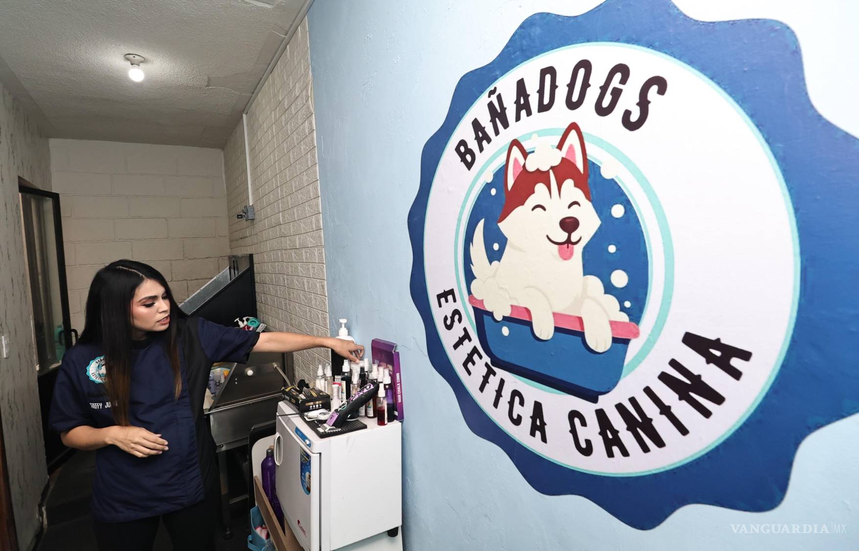 $!Para mascotas con pelaje oscuro o corto, la estética utiliza alternativas.