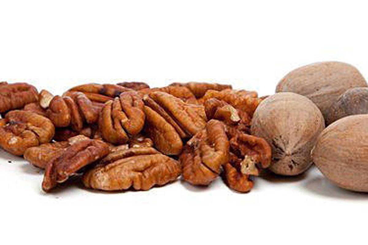 Hasta 30 mil pesos al día llegan a vender comerciantes de nuez en Saltillo