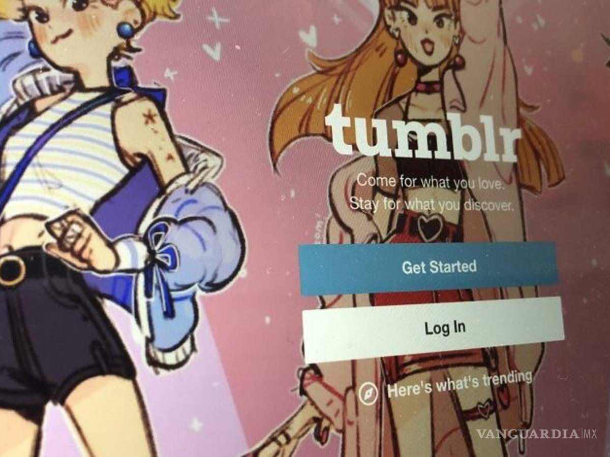 $!Tumblr le dice adiós al porno, a sus usuarios no les gustó esto