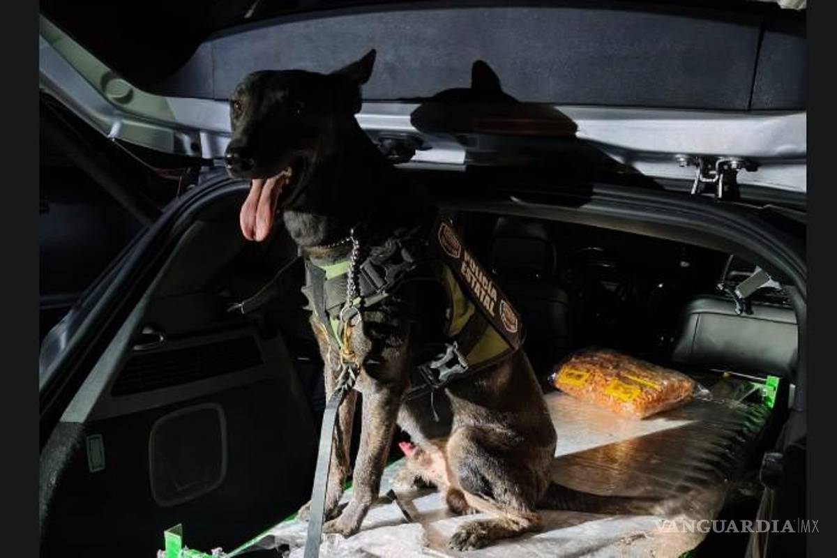 Operativo en Piedras Negras deja dos mujeres detenidas y el aseguramiento de más de 23 kilos de cristal