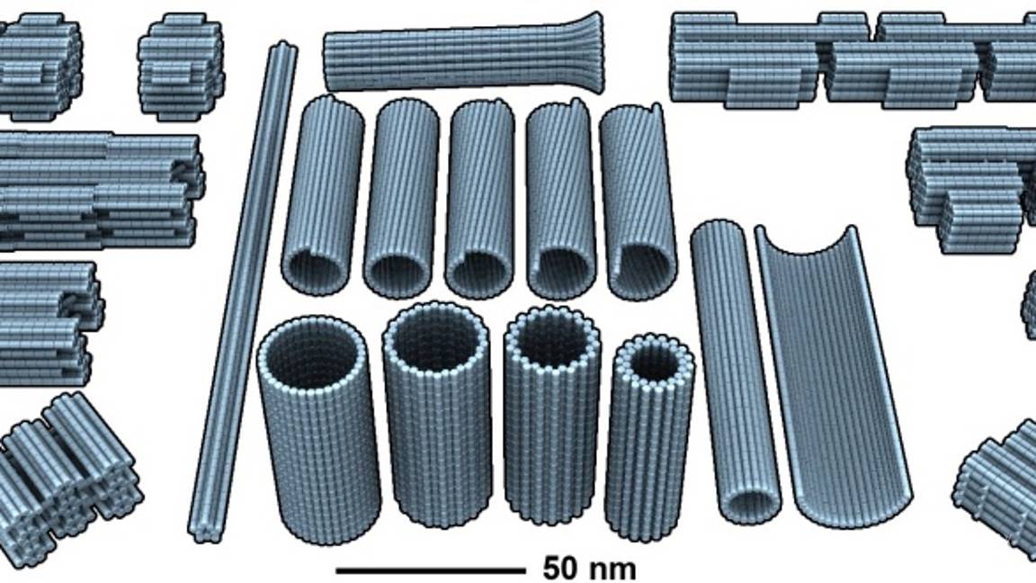 $!Nanobots, robots de ADN que permitirán curar heridas, desobstruir arterias y administrar medicamentos