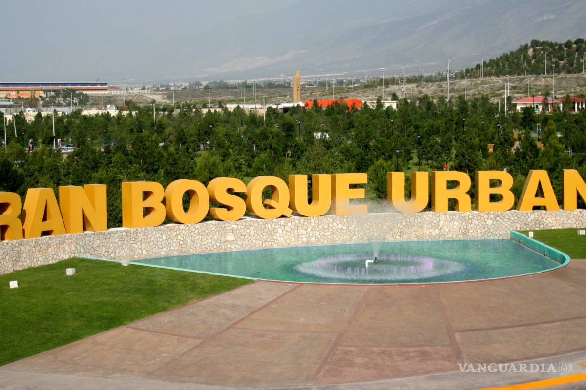 Liberan halcón en el Bosque Urbano