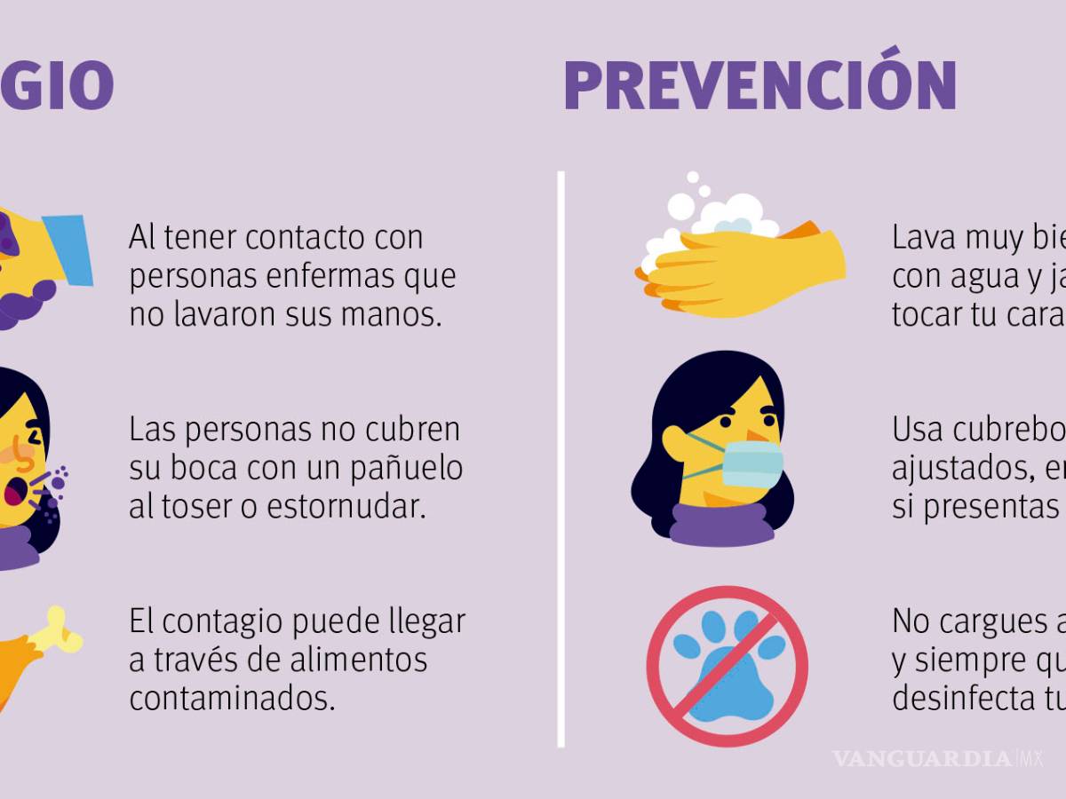$!La pandemia de coronavirus: Algunos poco conocidos hechos sobre el COVID-19
