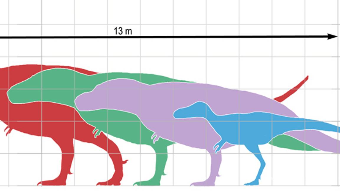 $!Scotty, el tiranosaurio más grande jamás descubierto