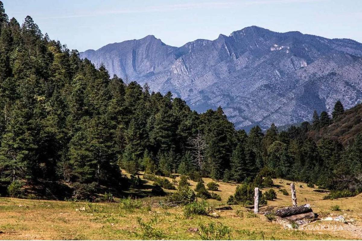 Instalarán 50 cámaras de vigilancia en diversos puntos de la sierra de Arteaga