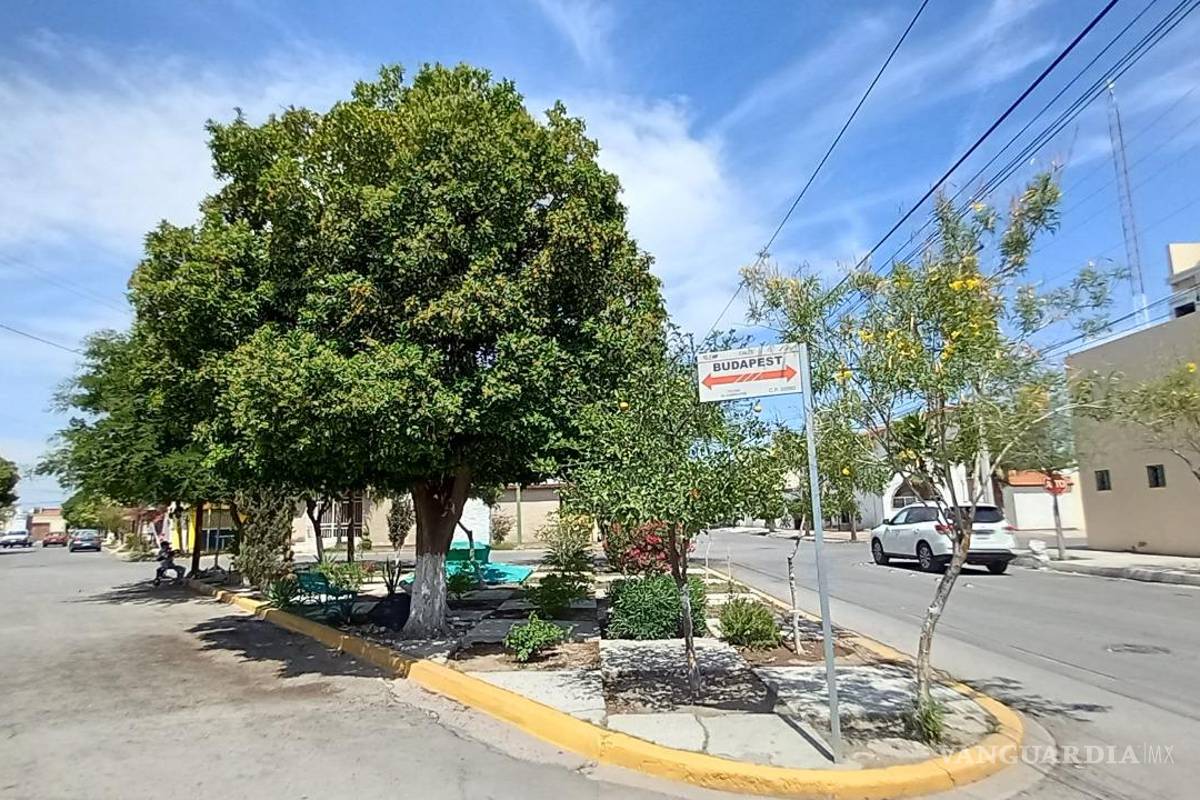 Capacitarán a empleados municipales en manejo integral del arbolado urbano en Torreón