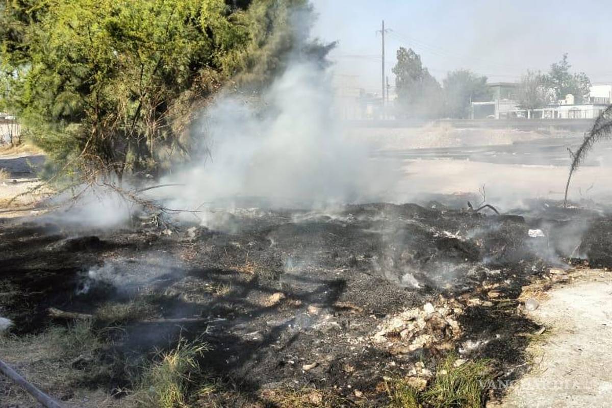 Arma Frontera monitoreo constante y mantiene brigadas preparadas para frenar incendios