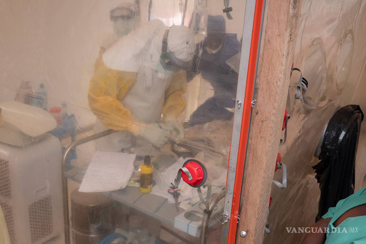 Científicos vuelven inmunes al Ébola a grupo de monos