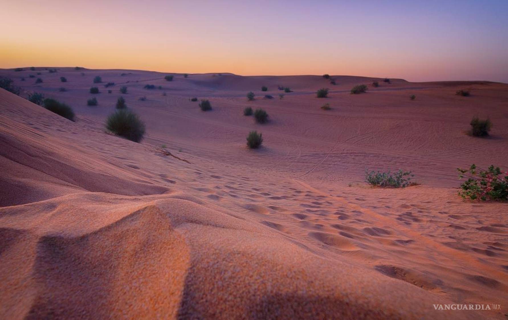 $!Para los amantes de la aventura, las Dunas de Bilbao son el destino perfecto.
