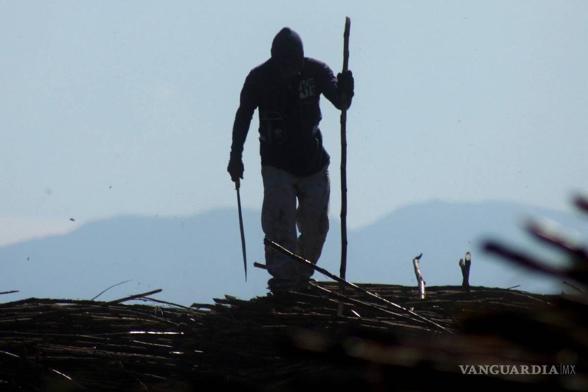 Rescatan a 72 personas explotadas en campo agrícola de Coahuila