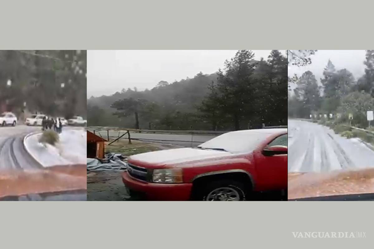 Se registra caída de agua nieve en la sierra de Arteaga; Mesa de las Tablas luce pintado de blanco