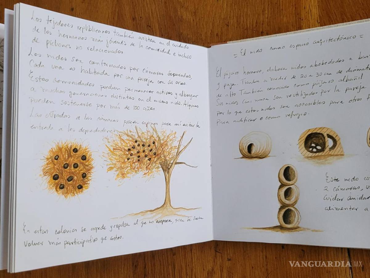 $!Origen y transformacion, Libro de artista, Mar Gasca Madrigal, 2020.