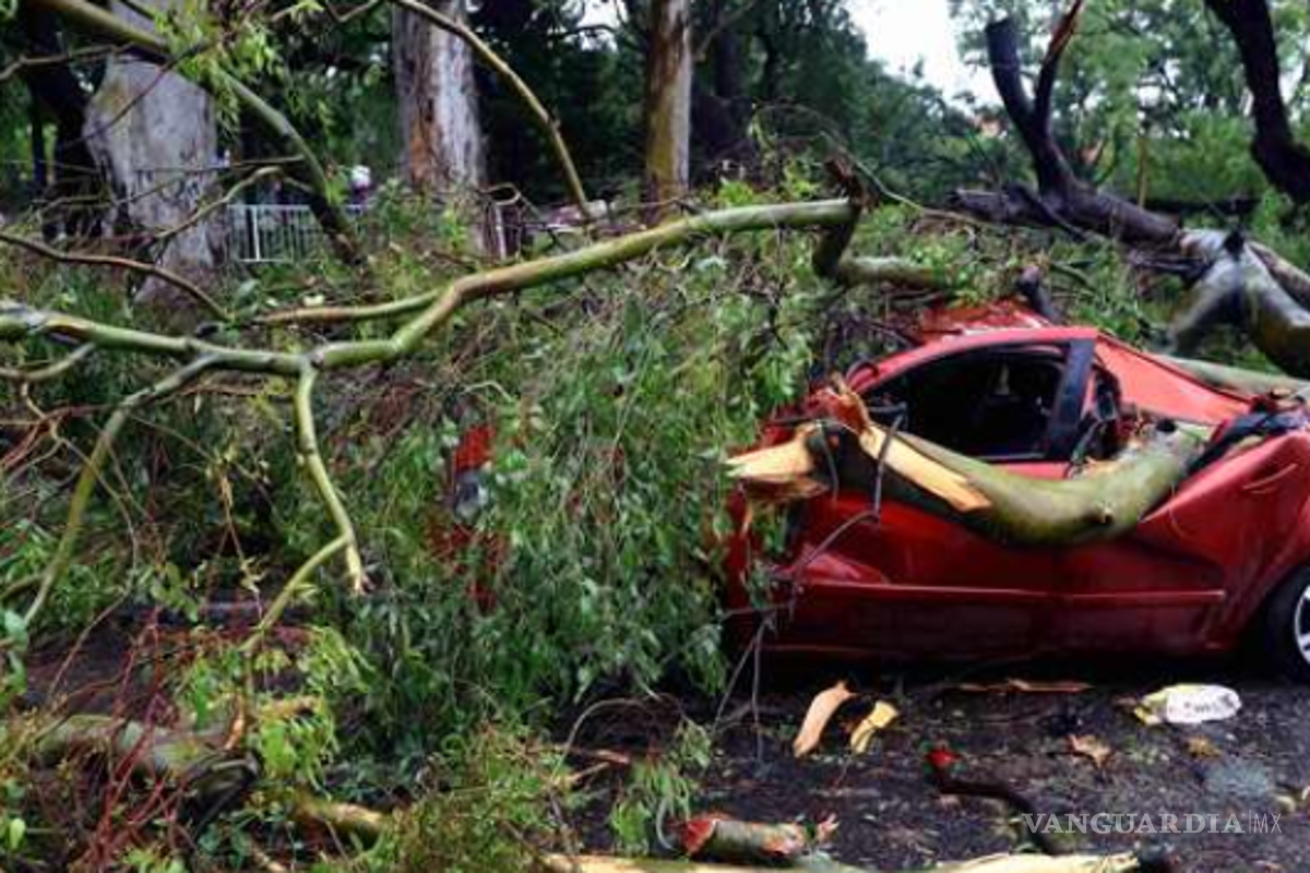 Tormenta con vientos huracanados dejó 14 muertos en Argentina y 2 en Uruguay