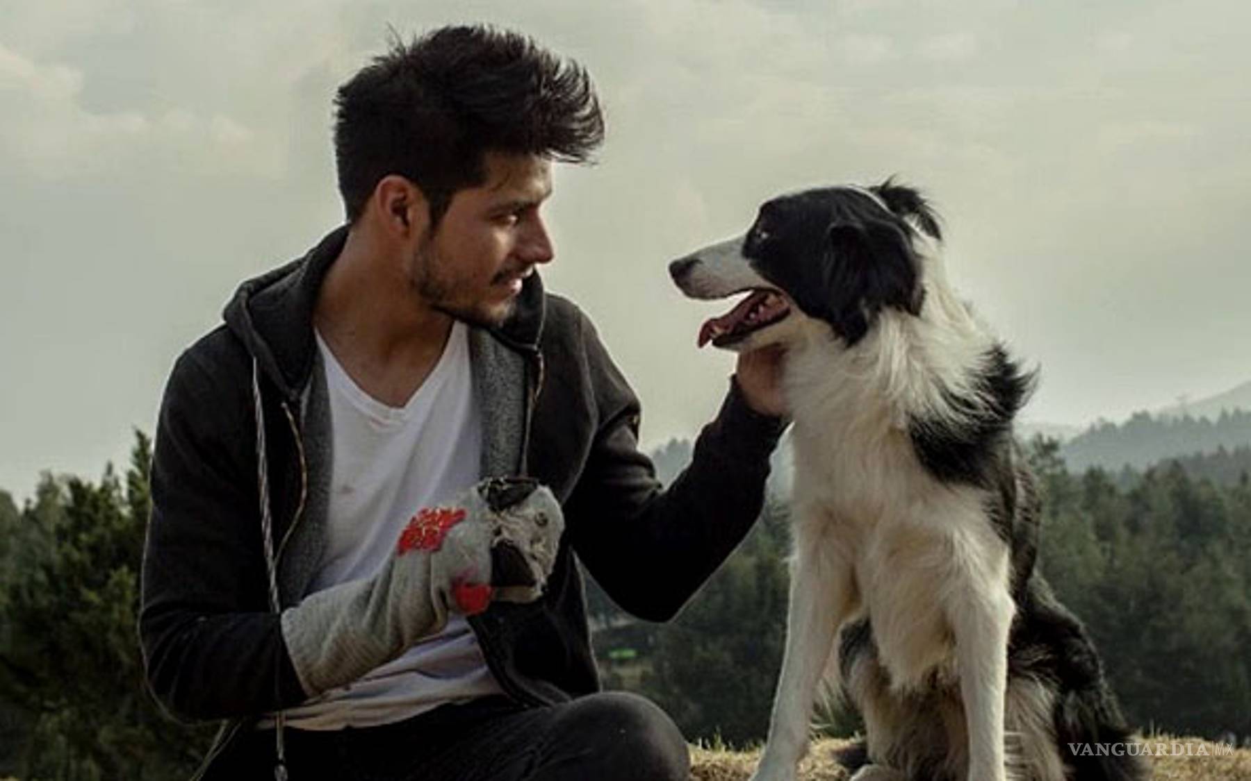 $!¡Feliz Día del Perro! Celebra a tu lomito con las mejores películas en streaming