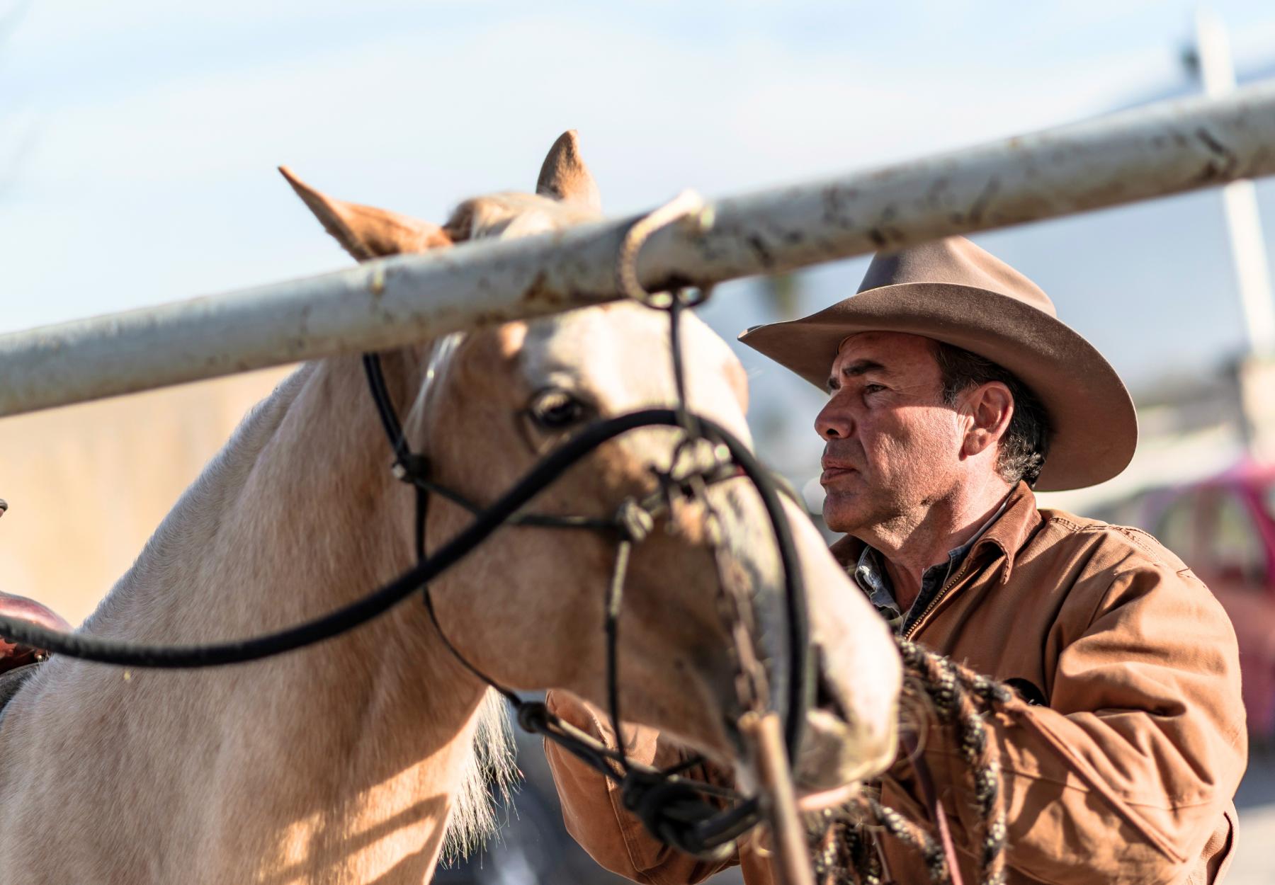 $!En la primera edición de Rodeo Capital, David Alonso nos comparte su fascinante recorrido como domador de caballos.