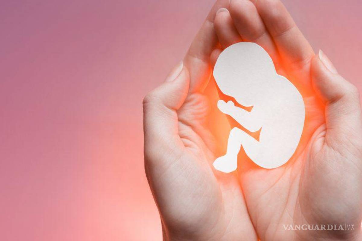 Concentran Nuevo León, Edomex y CDMX el mayor número de denuncias de aborto