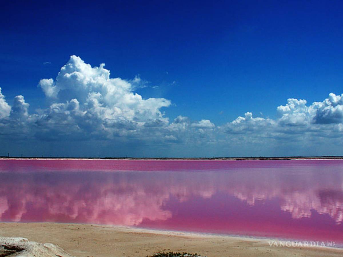 $!La mágica laguna rosa mexicana que sorprende a las redes