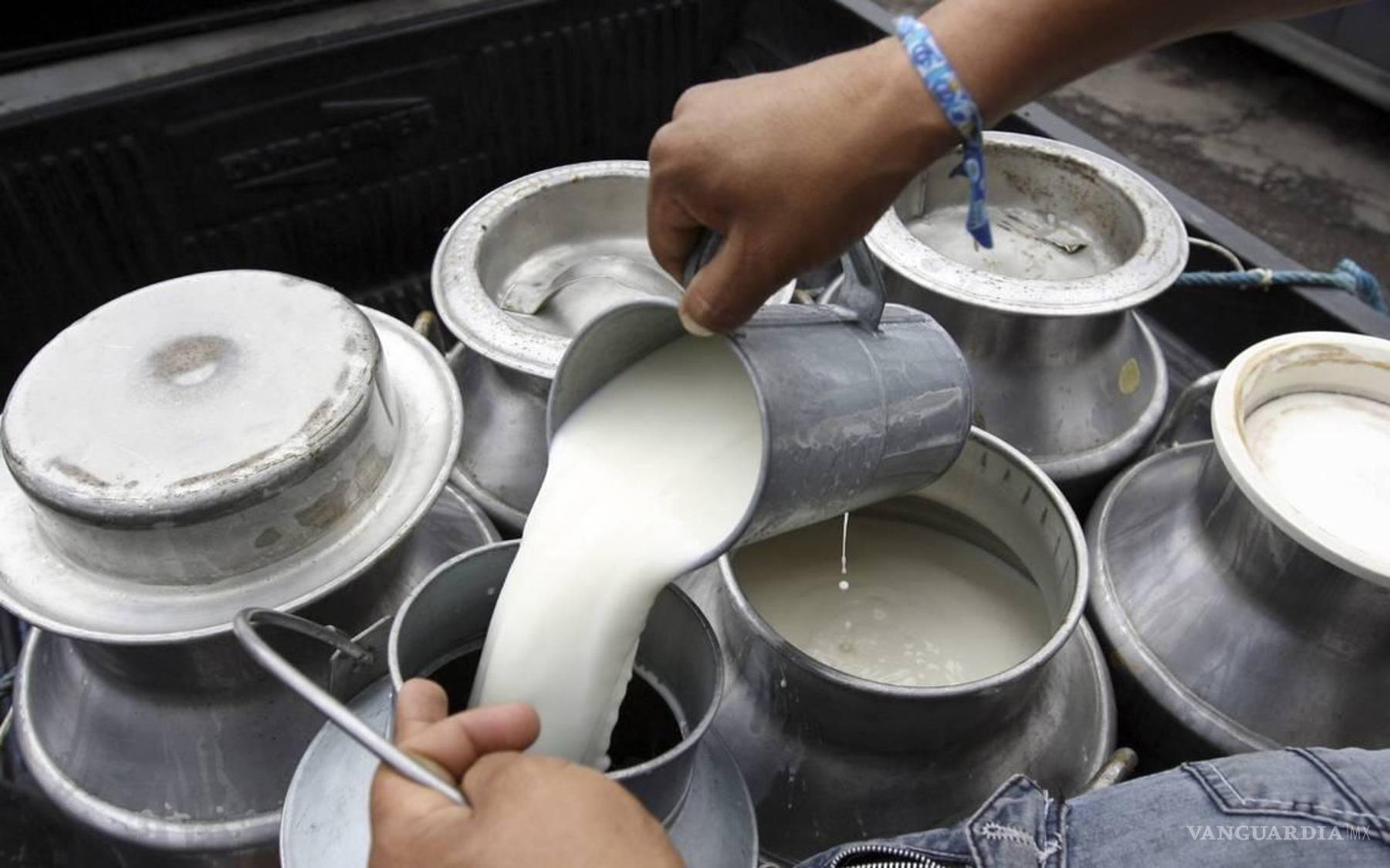 $!Además de calcio, la leche entera aporta magnesio, selenio, riboflavina, y las vitaminas B12 y B5.