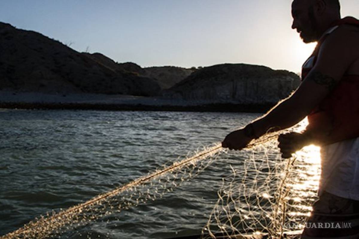 Industria pesquera mexicana, en aprietos por alza en el diésel