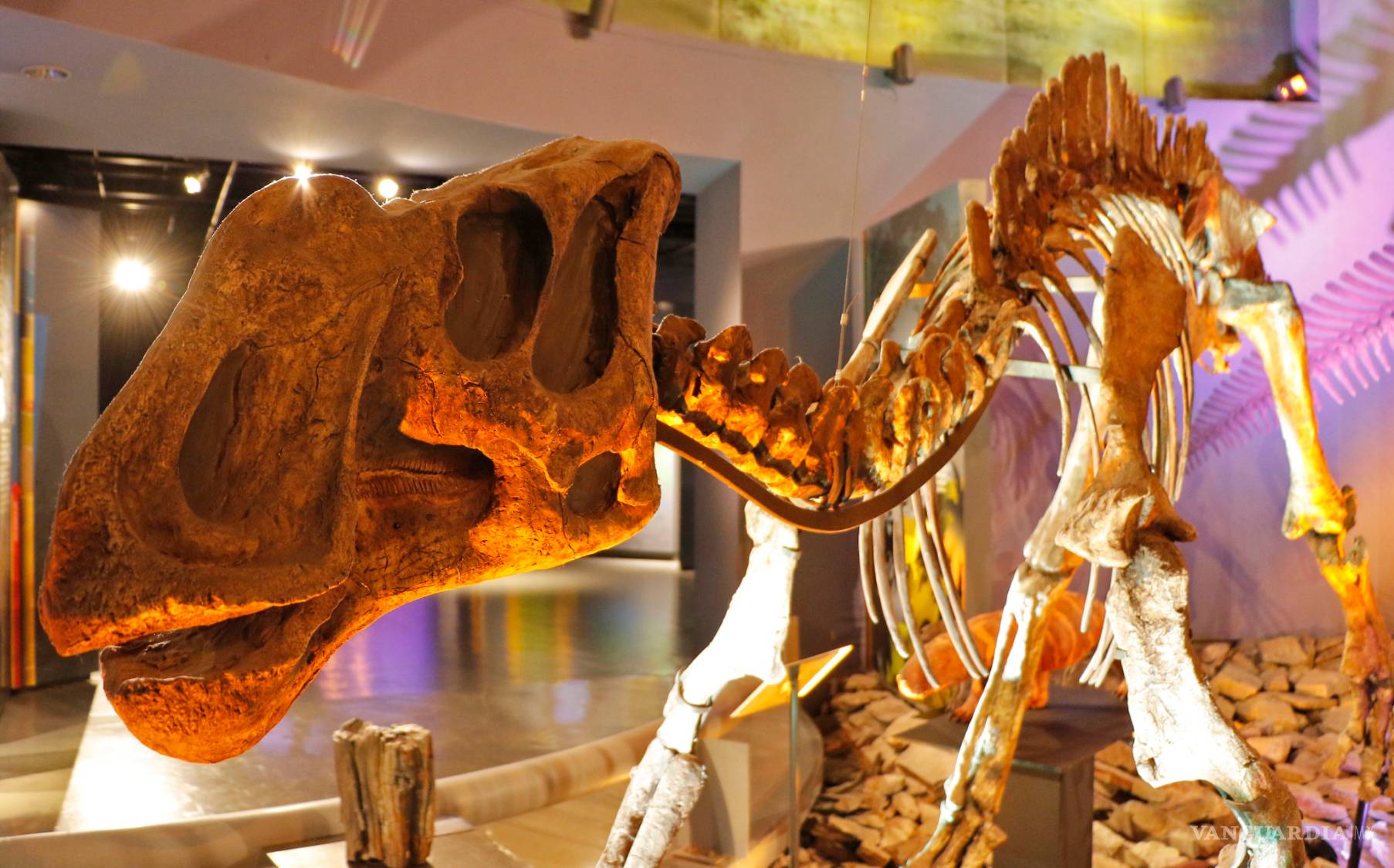 $!El hombre que da vida a los dinosaurios