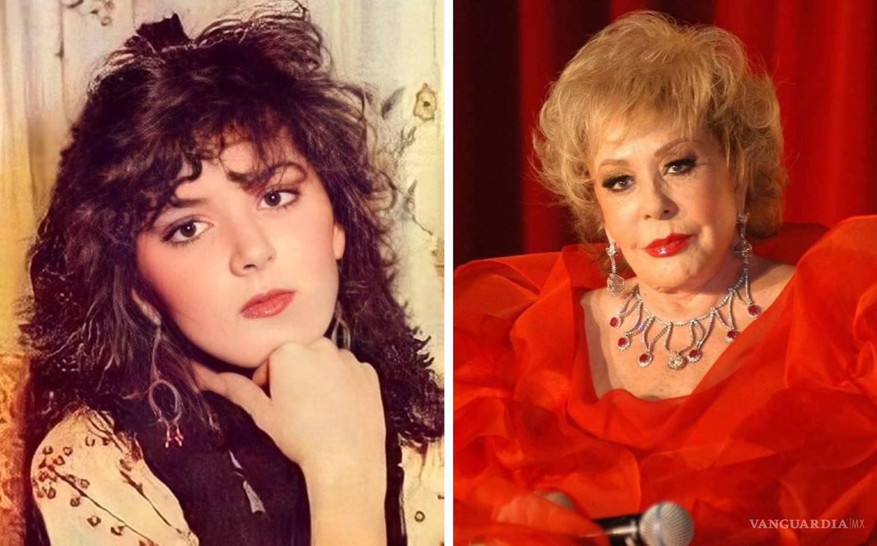 $!Árbol genealógico de Silvia Pinal... Ellos son los integrantes de su familia; hijos, nietos y bisnietos