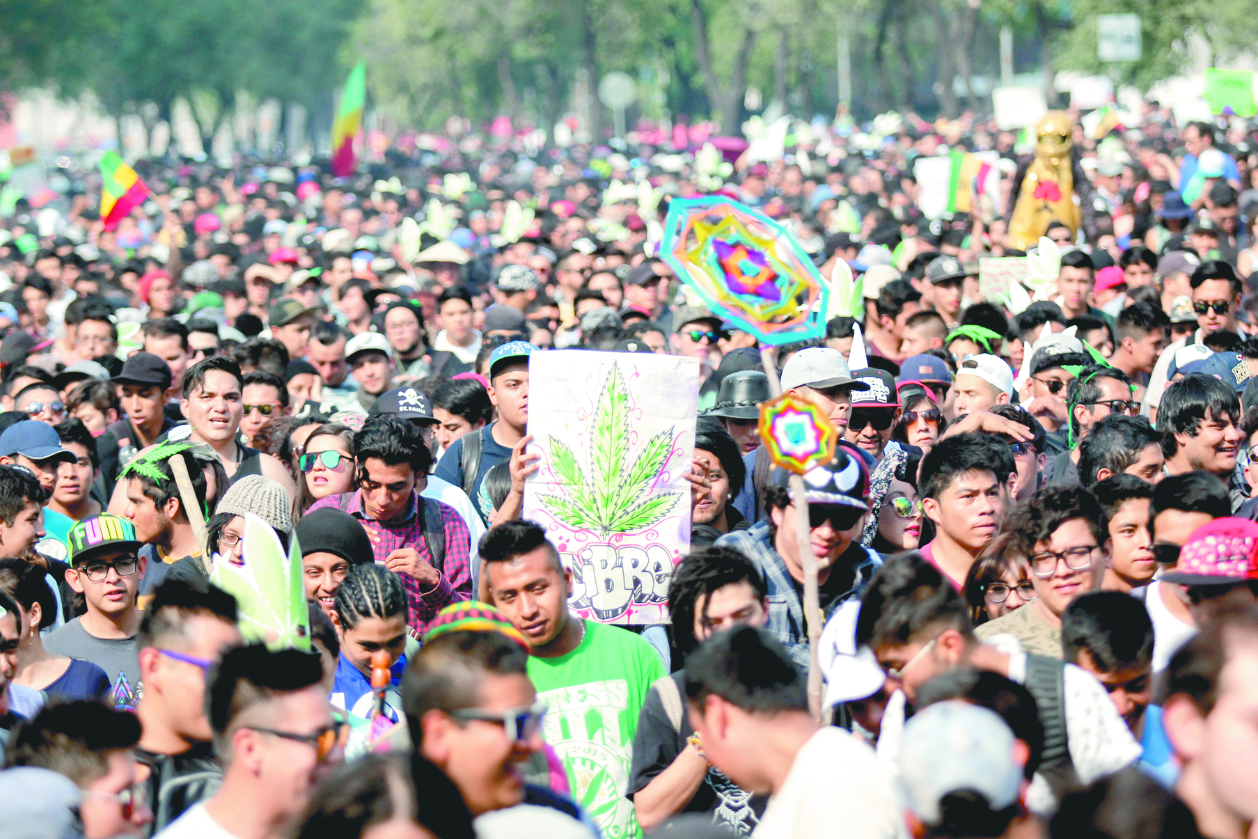 Soy mariguano ¿y qué?