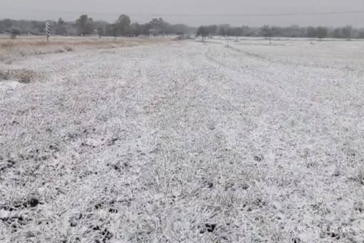 Frente Frío 27 deja aguanieve y apagones en Nuevo León