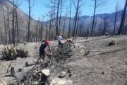 En marzo de 2021, un incendio en la Sierra de Arteaga, específicamente en el paraje de La Pinalosa, entre los límites de Nuevo León y Coahuila, quemó alrededor de 3 mil 500 hectáreas de área boscosa. FOTO: ARCHIVO/VANGUARDIA