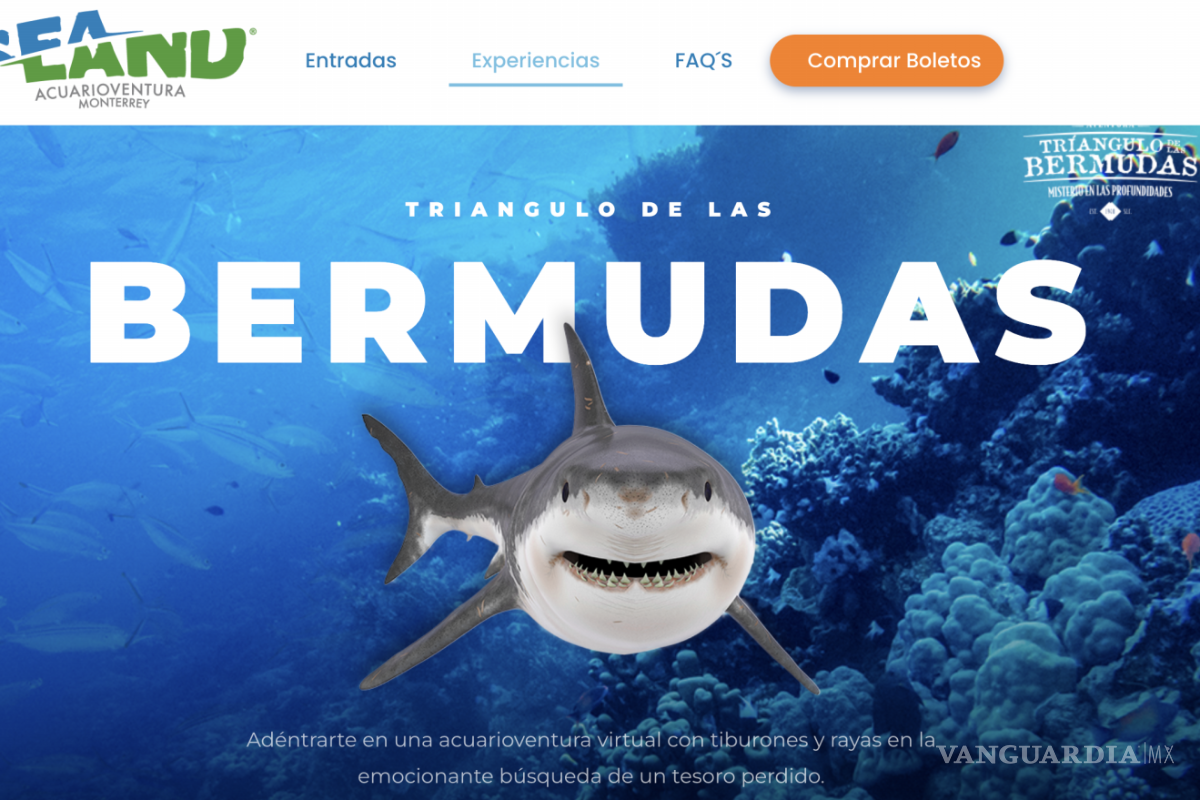 Sealand Monterrey: Todo lo que debes saber para tu visita al acuario