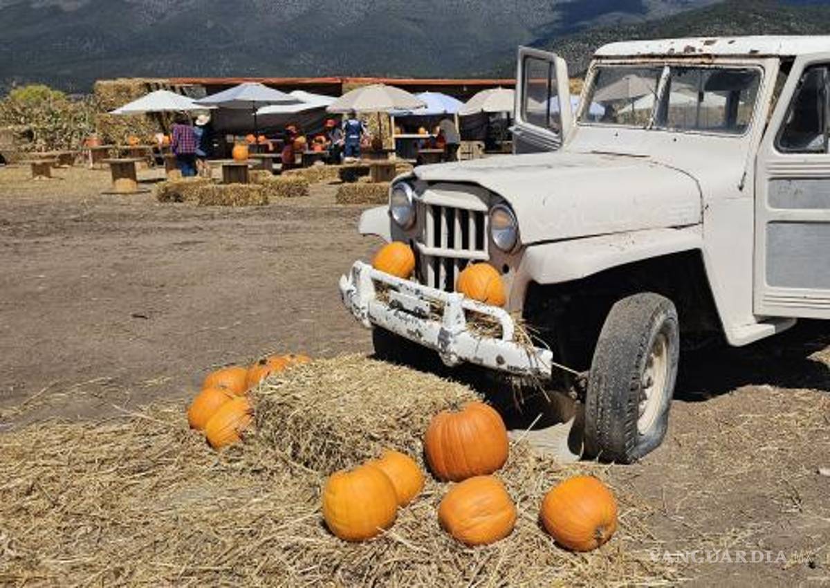 $!El proyecto busca beneficiar a la comunidad local, generando derrama económica a través del turismo y el consumo de productos tradicionales.